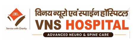 VNS LOGO