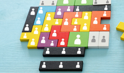 Dedicated Development Team